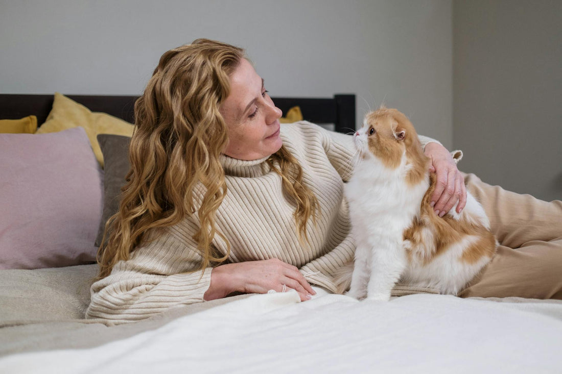 How to Care for and Clean Your Cat Bed Without Stress