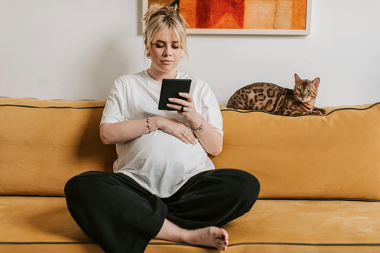7 Fun Activities to Do with Your Cat
