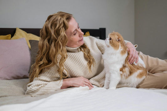 How to Care for and Clean Your Cat Bed Without Stress