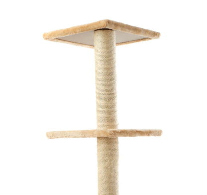 Scratch Platform